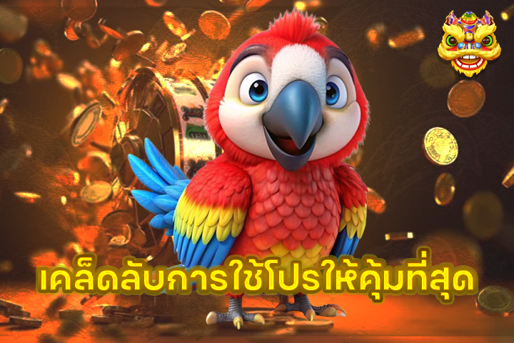 เคล็ดลับการใช้โปรให้คุ้มที่สุด