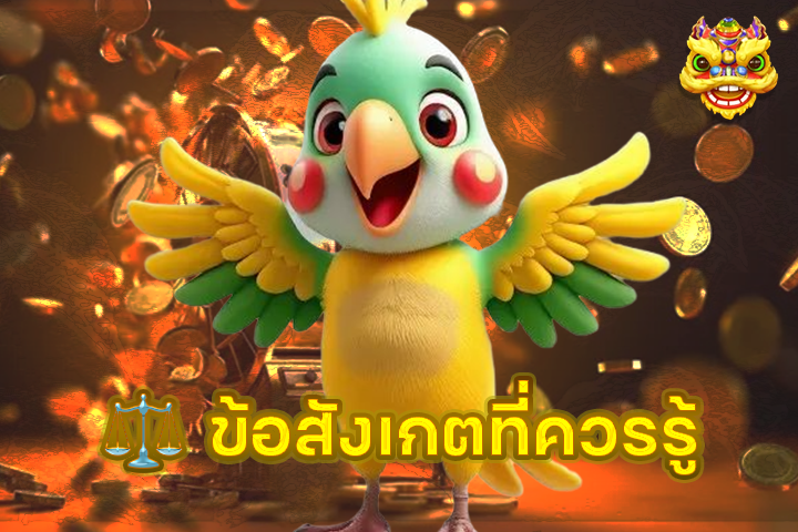 ⚖️ ข้อสังเกตที่ควรรู้