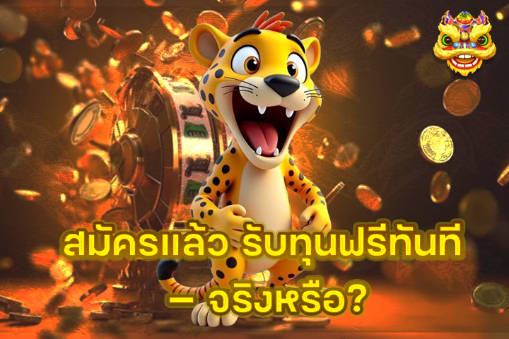 สมัครแล้ว รับทุนฟรีทันที — จริงหรือ?