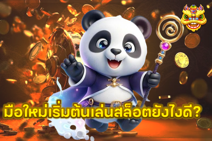 มือใหม่เริ่มต้นเล่นสล็อตยังไงดี?